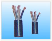 �c���鿴�����DƬ