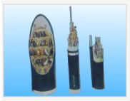 �c���鿴�����DƬ