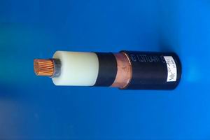 �c���鿴�����DƬ